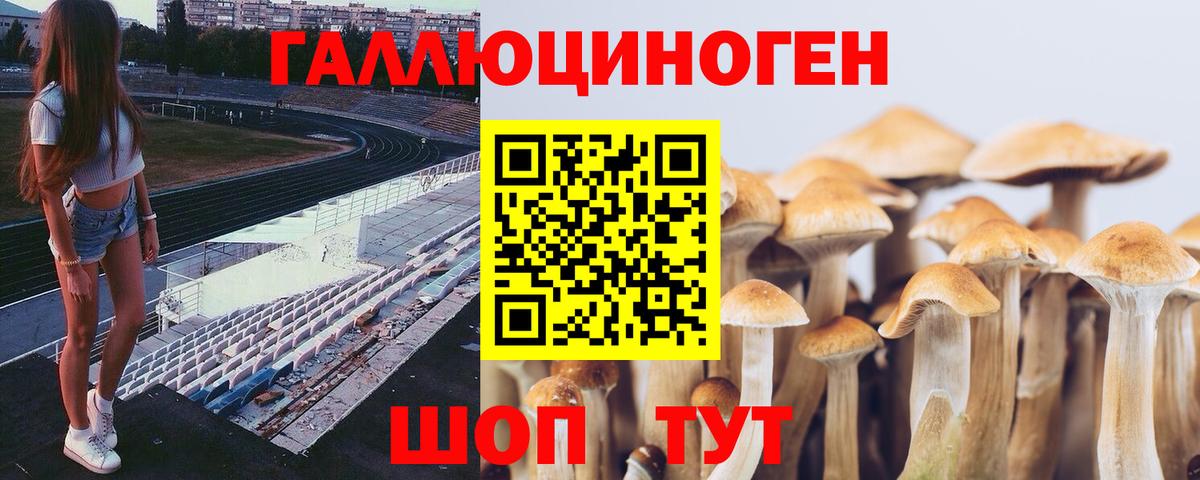 Краснознаменск  Псилоцибиновые грибы MAGIC MUSHROOMS  как найти наркотики  Вход с VPN 