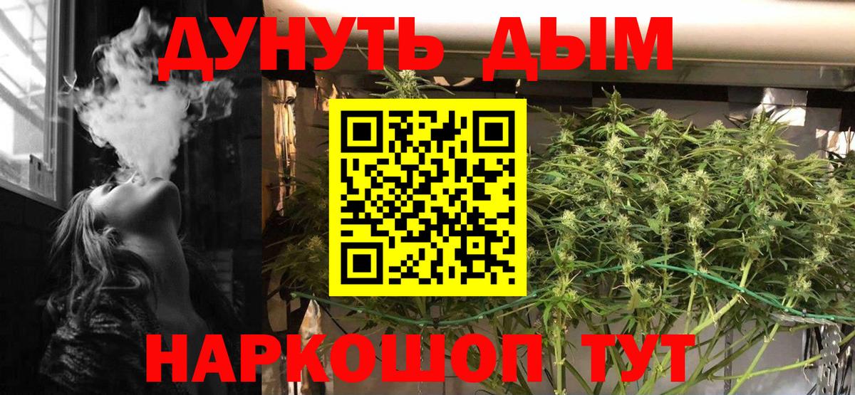 Шишки марихуана семена Краснознаменск